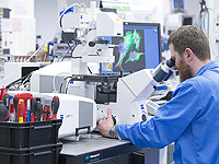 Белок начинает искать 