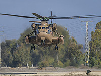 Офер Кальдерон и Ярден Бибас вернулись в Израиль