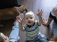 ИИ-модель учится познавать мир, как это делает ребенок