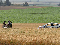 Около поселка Реим, недалеко от границы Газы, найдены фрагменты тела