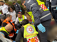 Задержаны участники драки в Нетании, в ходе которой был убит мужчина