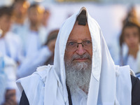 Раввин Шмуэль Элиягу опубликовал письмо о серьезном кризисе в системе кашрута