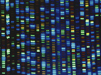 Как влияют на генетические заболевания короткие и длинные хвосты мембранных белков