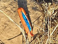 Массовые отравления животных на севере: найдены замоченные в пестицидах приманки