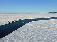 На Сахалине унесло в море льдину с 300 рыбаками, многие отказываются эвакуироваться