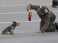 Ученые раскрывают простой способ 