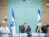 На комиссии в Кнессете ультралевую активистку попросили назвать спонсоров ее движения