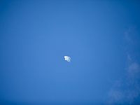 Из сектора Газы по Израилю выпустили ракету: она не долетела до границы