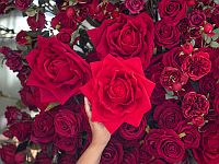 День всех влюбленных в разных странах мира. Фоторепортаж 2025 года