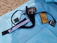 Переполох в Тамре: предполагаемые 