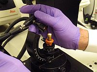 Бактерии, передаваемые половым путем, помогут определить преступников в случаях сексуального насилия