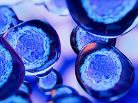 На ранней Земле простые процессы могли привести к возникновению жизни