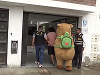 В Перу полицейский в костюме капибары с поличным задержал наркоторговца. Видео