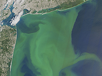 Израильские ученые разработали систему предупреждения о