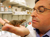 Мыши с человеческим геном