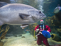 Рыбы способны различать людей по цвету