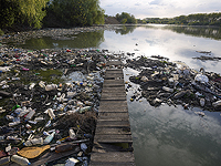 Окружающая среда гораздо важнее генетики в риске ранней смерти