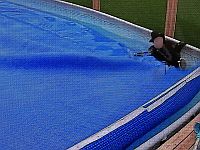 Сотрудники трамвайной охраны задержали вора-неудачника, едва не утонувшего на месте преступления