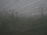 Сбор воды из тумана может обеспечить водой засушливые города