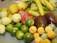 Антиоксиданты во фруктах и цветах противодействуют вредному воздействию микропластика