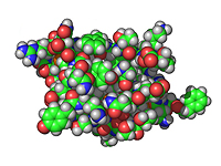 Таблетка вместо укола: наночастицы на основе грудного молока помогут доставлять инсулин