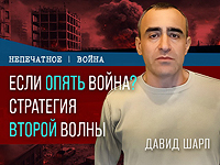 Стратегия второго этапа войны. Видеокомментарий Давида Шарпа