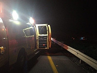 Возле поселка Аниам два автомобиля врезались в лошадей: один человек погиб