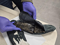 Полкилограмма гашиша в стельках ботинок: полиция арестовала наркоторговца