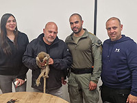 Полицейские спасли обезьяну, содержавшуюся в неподходящих условиях в деревне Бир-Хададж