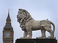 Пропалестинского активиста 16 часов не могли снять с башни