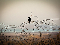 Тревога около южного побережья Мертвого моря. ЦАХАЛ: угрозы нет