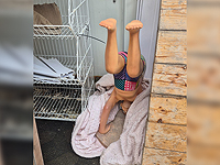 Не только халаты и полотенца: постоялец гостиницы украл статую Бен-Гуриона