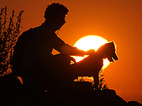 Исследования показывают, что люди далеки от понимания эмоций своих питомцев