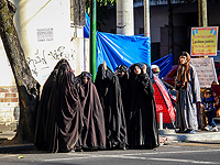 Сектанты из 