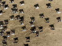 Автономные летающие 