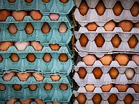 Минсельхоз субсидирует импорт яиц, чтобы избежать дефицита на Песах