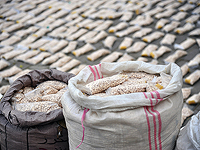 В Ираке конфисковано более тонны