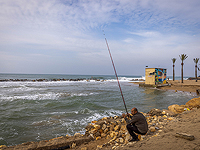 Минэкологии завершило очистку побережья Нагарии от асбеста