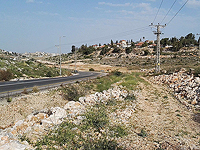 ЦАХАЛ: инцидент в Кирьят-Нетафим не был попыткой теракта