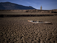 По данным ООН, в 2024 году в мире произошло более 150 