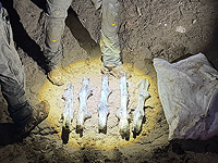 ЦАХАЛ и полиция предотвратили контрабанду оружия из Иордании