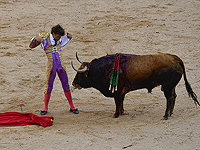 В Мехико запретили убивать быков во время корриды