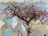 В иерусалимской галерее 