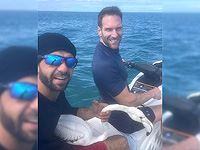 Тонувший большой фламинго спасен из моря, его лечат в больнице при 