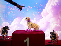 Конкурс красоты среди домашних животных. Фоторепортаж из Бухареста