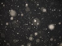 Впервые за девять лет снег выпал на Кармеле