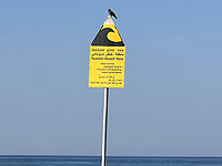 Израильтяне готовы получать ошибочные оповещения о землетрясениях, лишь бы они не опоздали