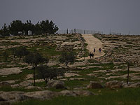 Автора фильма