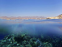 В Египте затонул прогулочный батискаф, погибли российские туристы