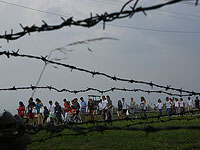 Возможно, травматический опыт передается по наследству